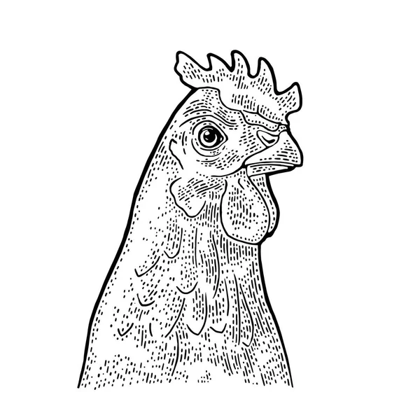 Pollo de cabeza. Ilustración de grabado vectorial vintage para póster, web. Aislado sobre fondo blanco — Vector de stock