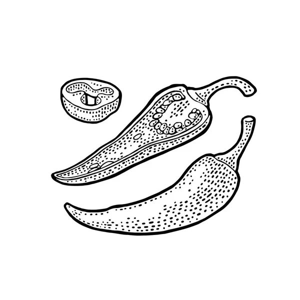 Chilli entero, mitad y rebanada. Vector vintage grabado — Archivo Imágenes Vectoriales