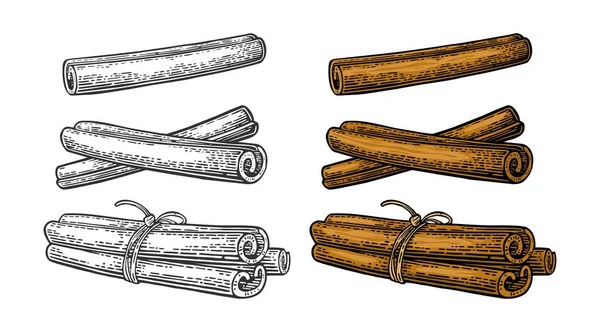 Conjunto de bastón de canela. Sencillo y atado por cuerda . — Archivo Imágenes Vectoriales