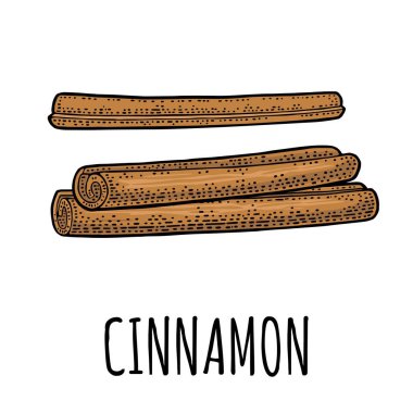 Tarçın çubuğu kümesi. Vektör siyah vintage oyma