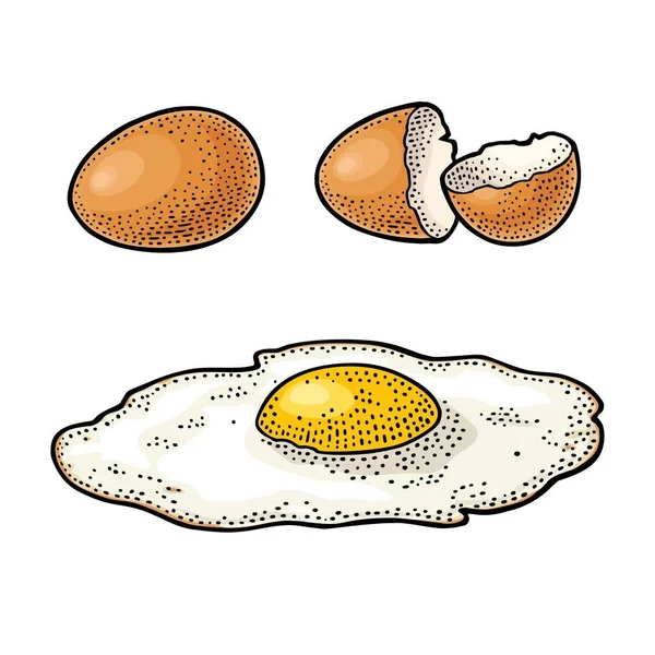 Huevo frito y cáscara rota. Ilustración de grabado en color vintage — Vector de stock