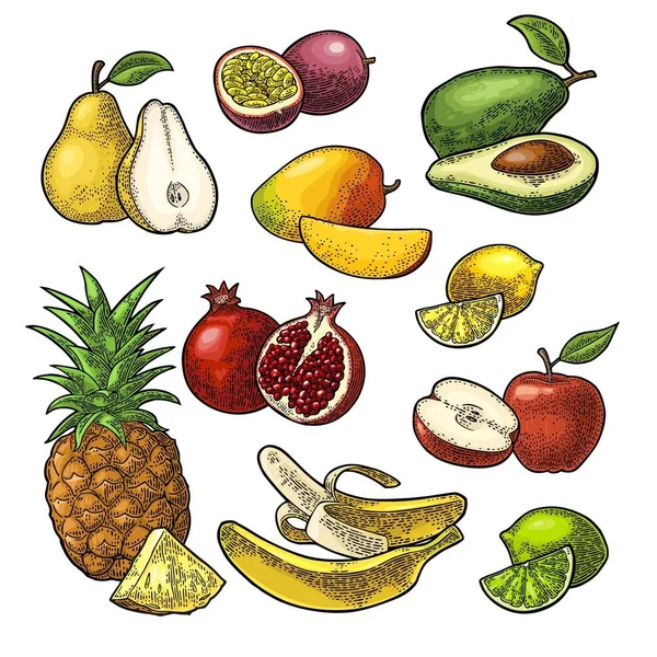 Ponga frutas. Piña, lima, plátano, granada, maracuya, aguacate . — Vector de stock