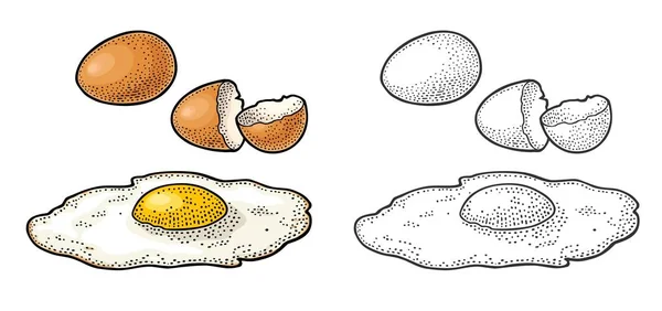 煎蛋和碎壳。老式彩色雕刻插图 — 图库矢量图片