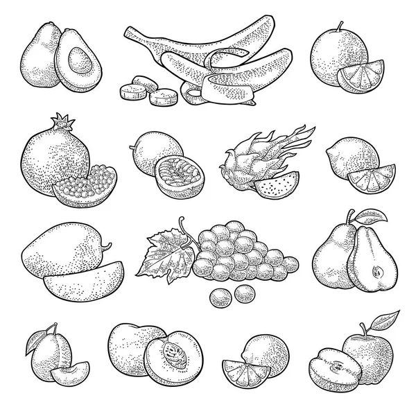 ตั้งผลไม้เขตร้อน สีเวกเตอร์แกะสลักวินเทจแยกบนสีขาว — ภาพเวกเตอร์สต็อก