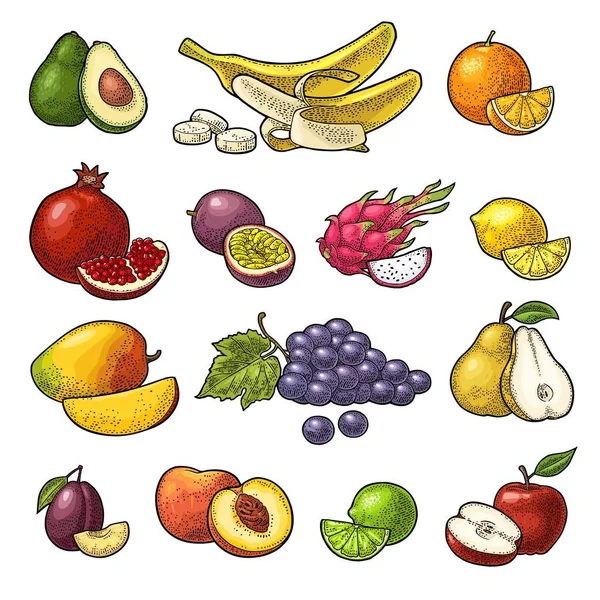 Ponga frutas tropicales. Vector grabado vintage negro aislado en blanco — Vector de stock