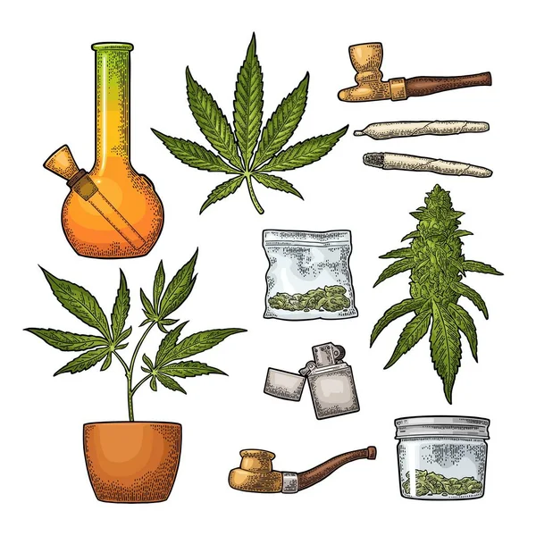 Conjunto de marihuana. Vintage vector de color grabado — Vector de stock