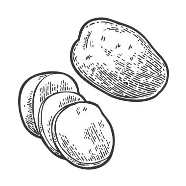 Bütün patates ve dilim. Vektör oyma vintage