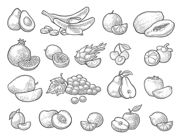 Definir frutas tropicais. Vector gravura vintage preto isolado em branco — Vetor de Stock