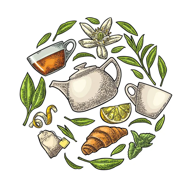 Set čaj ve tvaru kruhu. Vektor vintage gravírování — Stockový vektor