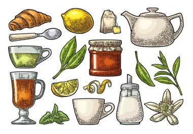 Fincan zekâ çay ve şube yaprakları ile. Vektör vintage oyma