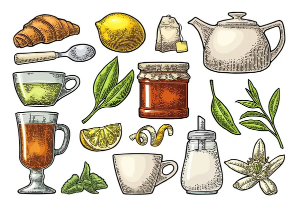 Taza de té y rama con hojas. Grabado vectorial vintage — Vector de stock