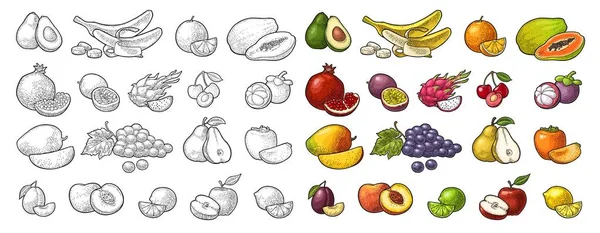 Ponga frutas tropicales. Vector grabado vintage negro aislado en blanco — Vector de stock