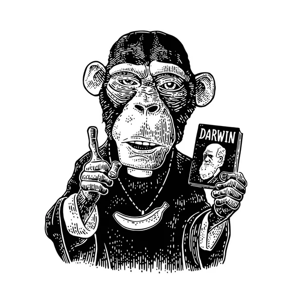 Opice v tričku s teorií evoluce, právě naopak. — Stockový vektor