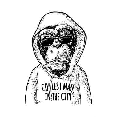 Şehirdeki en havalı adam yazı ile hoodie maymun hipster giymiş.