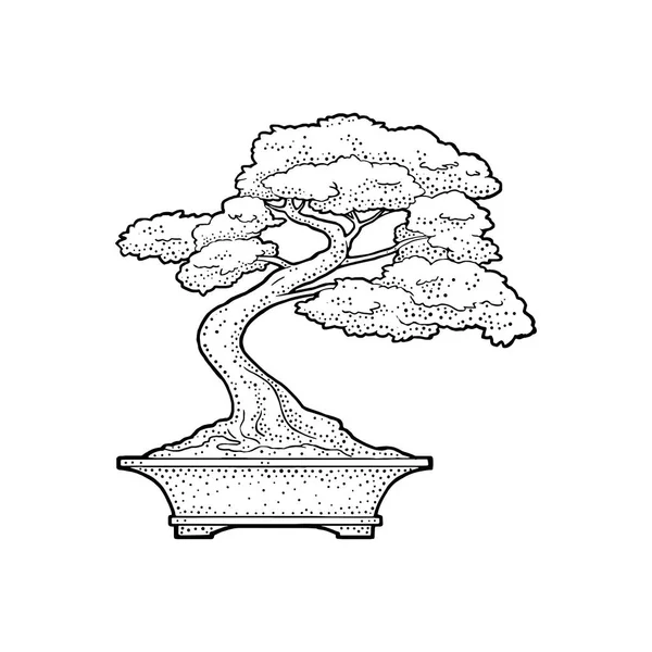 Бонсайське дерево в горщику. Урожай чорний вектор гравюра ілюстрація — стоковий вектор