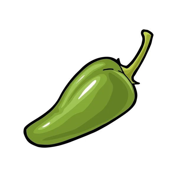 Jalapeño de pimienta entera. Grabado vectorial vintage — Archivo Imágenes Vectoriales