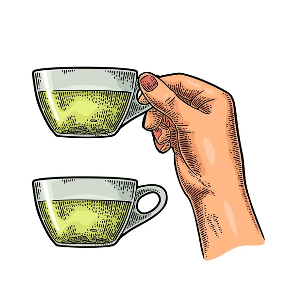 Mano femenina sosteniendo una taza de té. Vintage vector de color grabado — Archivo Imágenes Vectoriales