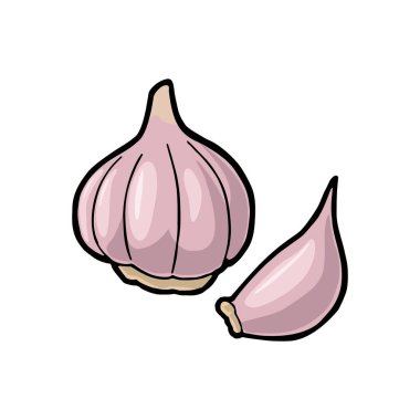 Sarımsak tüm baş ve karanfil. Vektör siyah vintage oyma