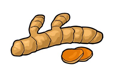 Dilimlenmiş zerdeçal kökü. Vektör vintage oymalı