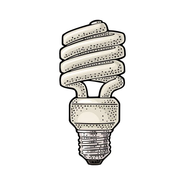 Energooszczędne lampy spiralne. Grawerowanie na białe tło wektor — Wektor stockowy
