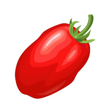 Bütün oval domates. Vektör düz renk çizim