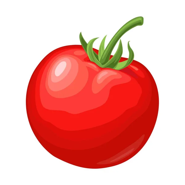 Ganze Tomate. Vektor flache Farbabbildung — Stockvektor