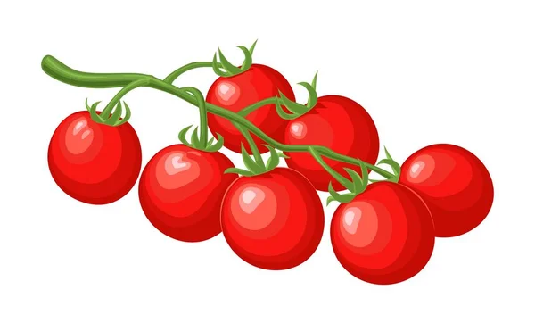 Conjunto de tomates hechos a mano. Rama, entera y rebanada . — Vector de stock