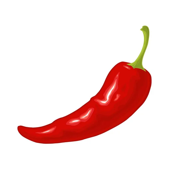 Chilli whole. Vector flat color illustration. — Stock Vector