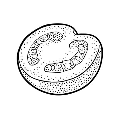 Yarım domates. Vektör illüstrasyon izole beyaz zemin üzerine kazınmış.