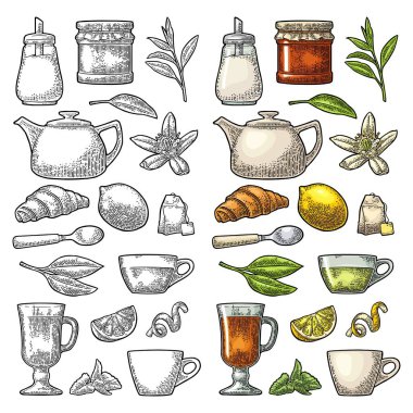 Fincan zekâ çay ve şube yaprakları ile. Vektör vintage oyma