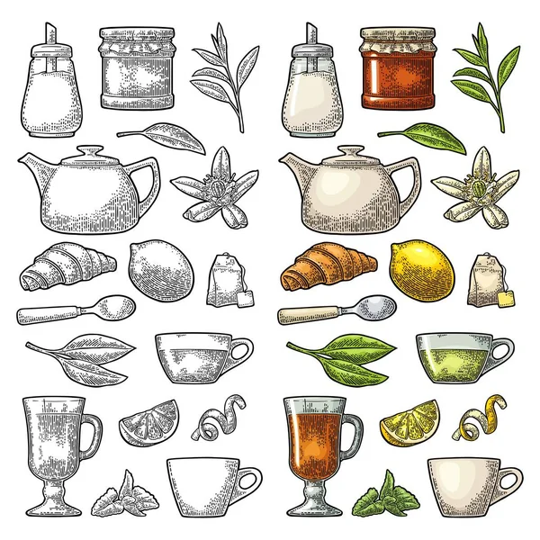 Coupe thé esprit et branche avec des feuilles. Gravure vectorielle vintage — Image vectorielle