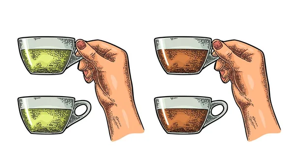 Mano femenina sosteniendo una taza de té. Vintage vector de color grabado — Vector de stock