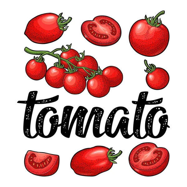 Conjunto de tomates desenhados à mão e letras caligráficas. Gravura vintage —  Vetores de Stock