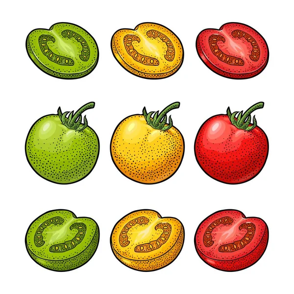 Σύνολο χέρι ντομάτες. Υποκατάστημα, σύνολο και φέτα. — Διανυσματικό Αρχείο