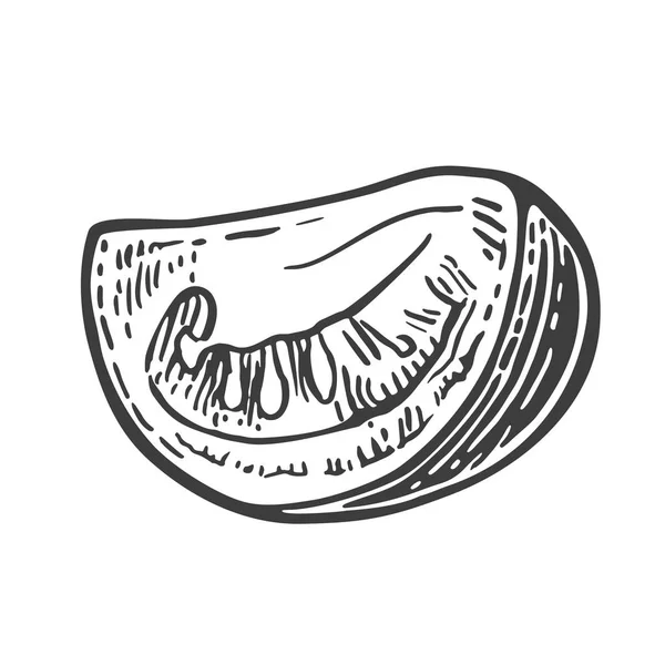 Une tranche de tomate. Illustration gravée vectorielle isolée sur fond blanc — Image vectorielle