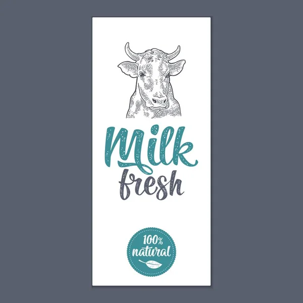 Шаблон плакат или этикетка с коровой. Свежий молочный шрифт — стоковый вектор