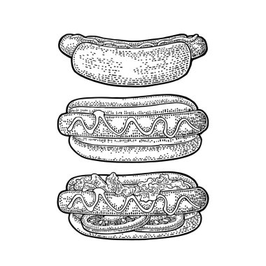 Hotdog ile domates, hardal, marul bırakın. Vektör oyma