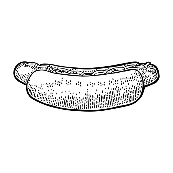 Hotdog. Geïsoleerd op witte achtergrond. — Stockvector