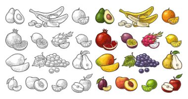 Tropikal meyveler koyun. Beyaz üzerine izole edilmiş siyah oyma.