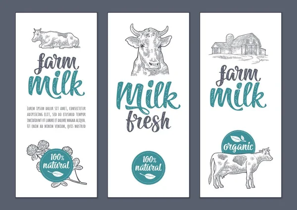 Cartaz de modelo ou rótulo com vaca e trevo. Leitura de leite agrícola —  Vetores de Stock