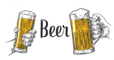 Bira gözlük kupa holding iki eller. Elle çizilmiş tasarım öğesi. Vintage vektör resmi web, poster, bira partisine davet için oyma. Beyaz arka plan üzerinde izole.