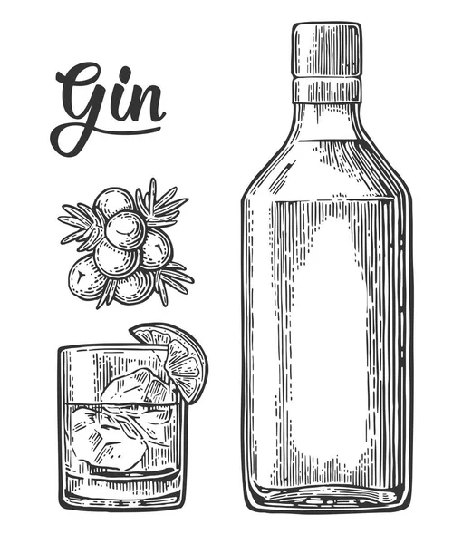 Vidrio y botella de ginebra y rama de enebro con bayas — Archivo Imágenes Vectoriales