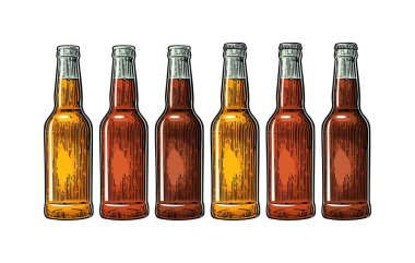Açık ve kapalı bira şişesi. Vintage renk vektör oyma çizim.