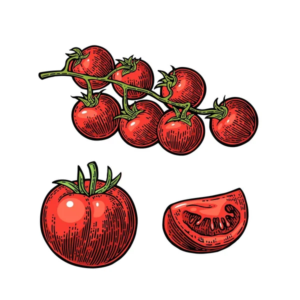 Set di pomodori disegnati a mano. Ramo, intero e fetta . — Vettoriale Stock