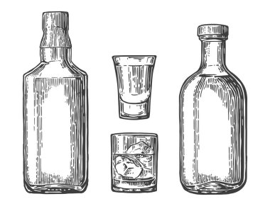 Viski ve tekila cam, şişe. Vektör renk oyma