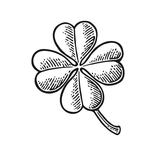 Hodně štěstí čtyři leaf clover. Vintage vektorové ilustrace gravírování — Stockový vektor