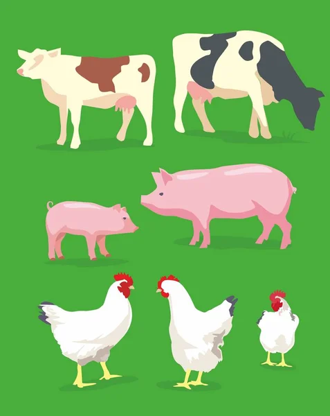 Vaca, cerdo y pollo sobre fondo verde. Ilustración plana del vector . — Archivo Imágenes Vectoriales