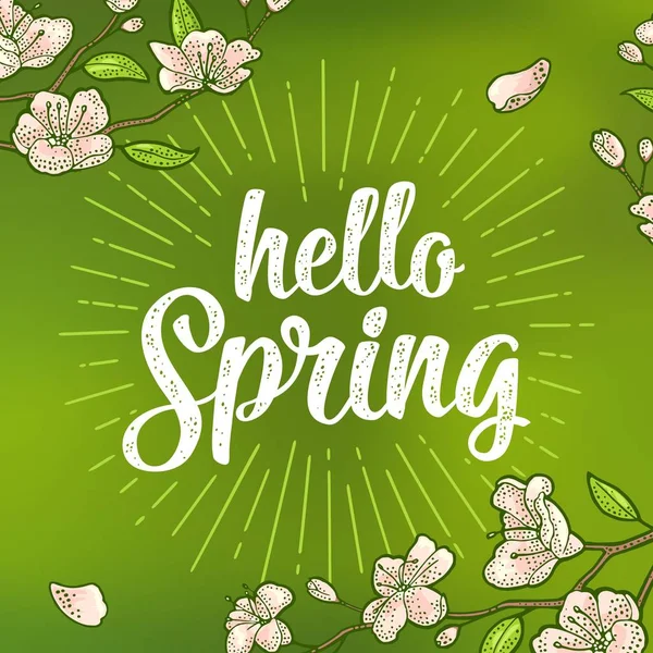 Sakura çiçeği. Kiraz dal çiçeklerle, bud. Bahar Merhaba yazı.