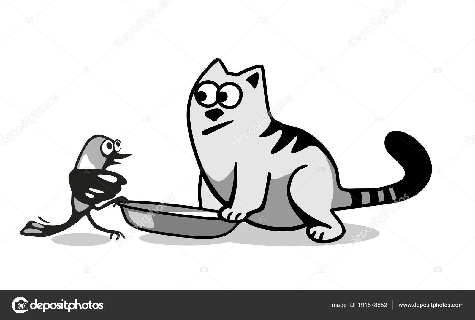 Loiseau Veut Manger La Nourriture Pour Chats Image