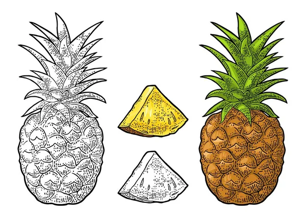 Bütün ve dilim ananas. Vektör siyah vintage oyma — Stok Vektör